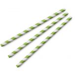 Vegware Jumbo Stripe Paper Straws 197mm Green Alliance UK